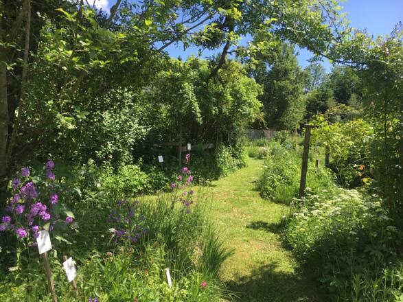 Naturgarten Pienkenhof in Kefermarkt