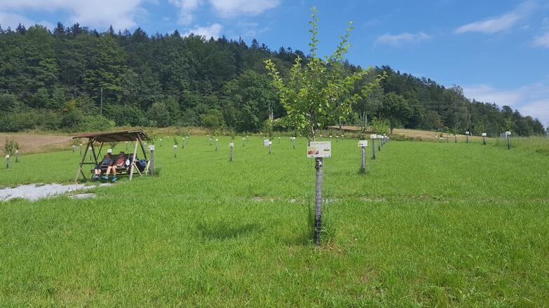 Obstschaugarten Thauerb%c3%b6ck