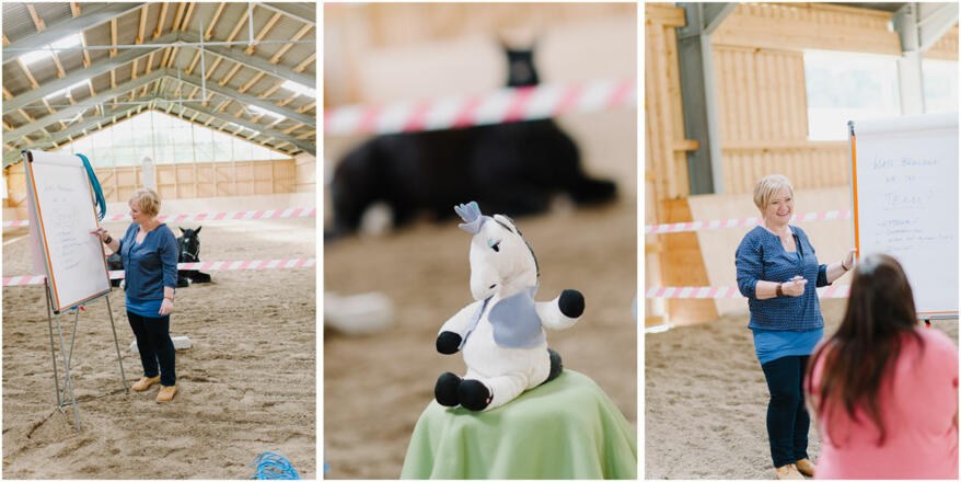 Die Coachin - Conny Wernitznig