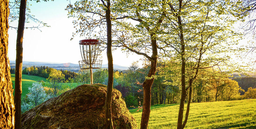 Discgolfkorb auf einem Granitstein