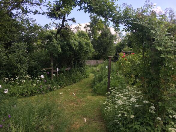 Naturgarten Pienkenhof in Kefermarkt