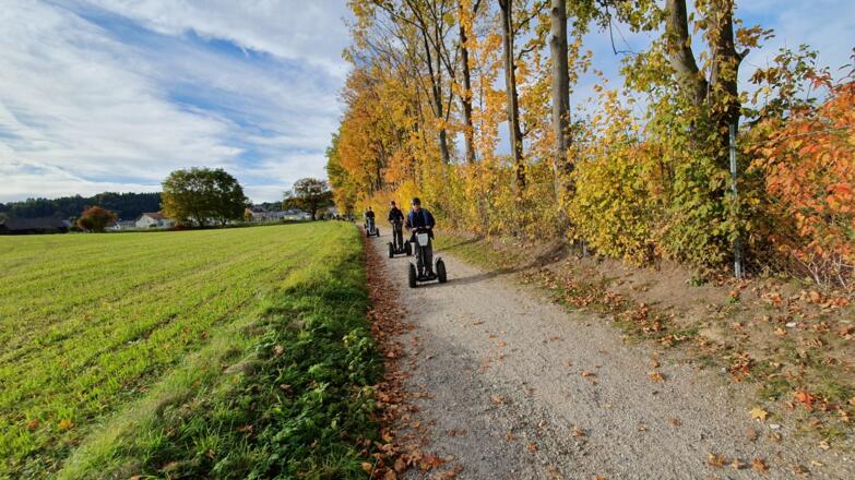 Segway Tour Freistadt Gelände