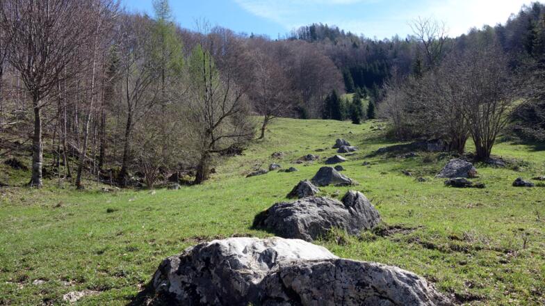 820 m bis 890 m, Polzeben-Almgebiet