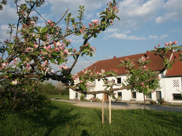 Pankrazhofer von vorne