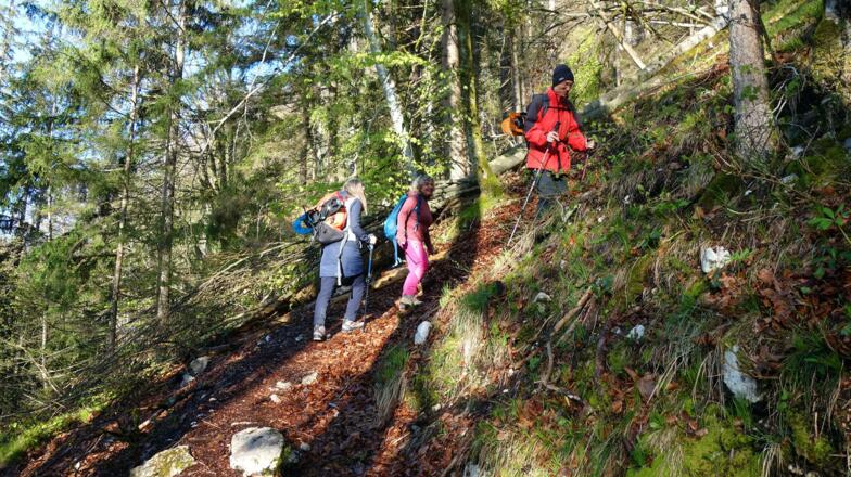 Anstieg im Hochwald