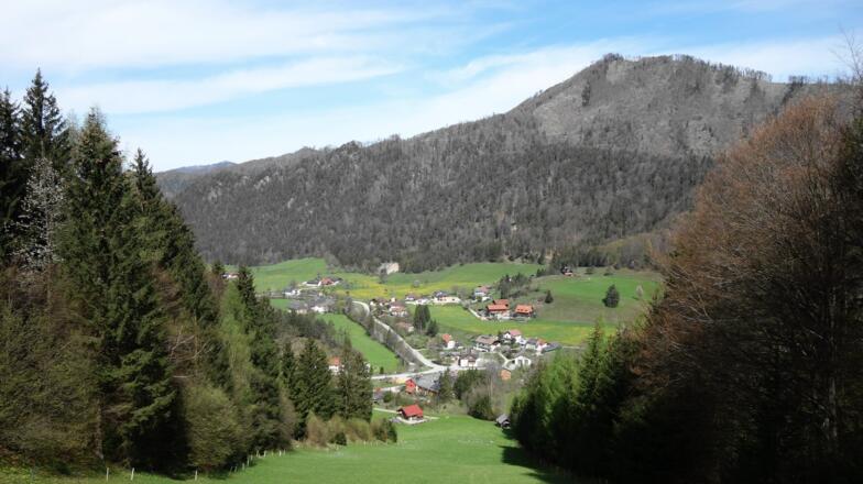 Ehem. Pistenwiese erreicht (~650 m), steil am rechten Rand absteigen.