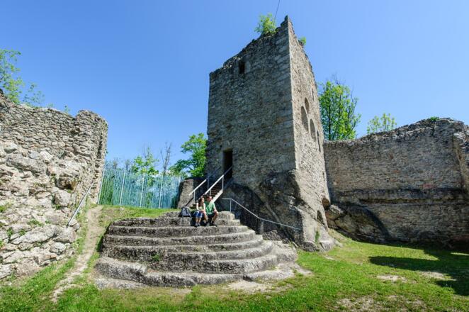 Landschaftsaufnahme mit der Ruine Ruttenstein