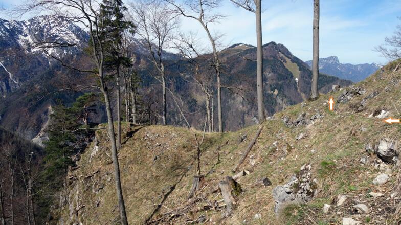 Am Jagdsteig (ab ~1200 m) leicht fallend queren und bald nach dem Grat links steil hinab,