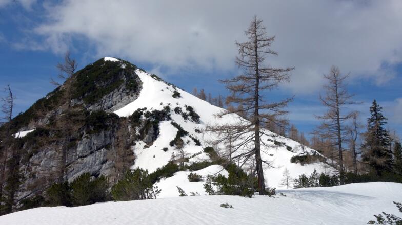 Ostgipfel 1650m im Blick