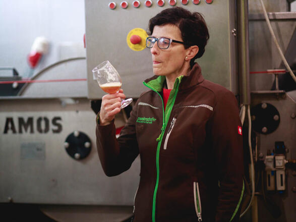 Verkosten von frisch gepresstem Apfelsaft direkt von der Presse