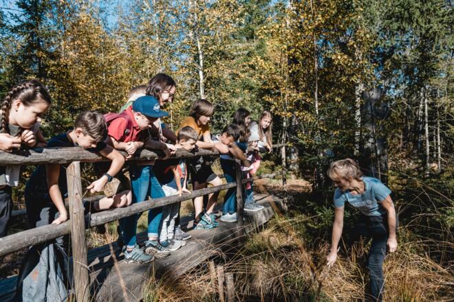 Naturkunde im Tanner Moor in Liebenau