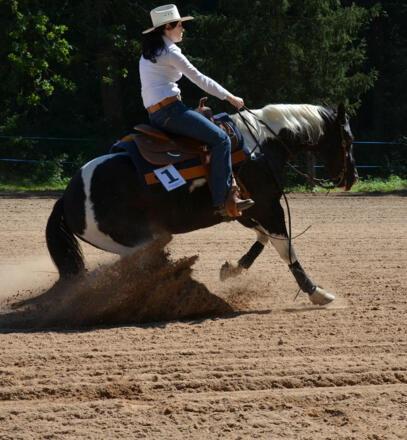 Riegler Stable