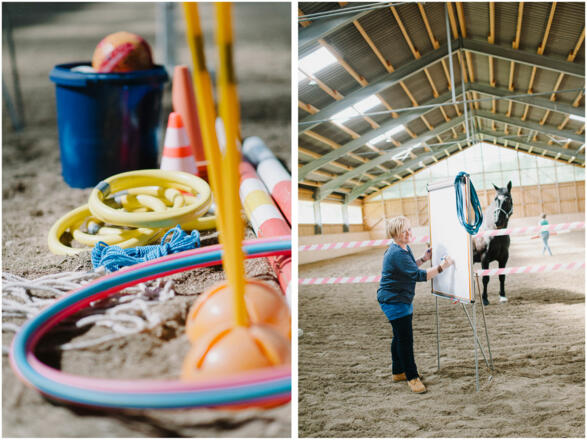 Die Coachin - Conny Wernitznig