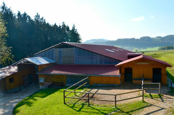 Riegler Stable
