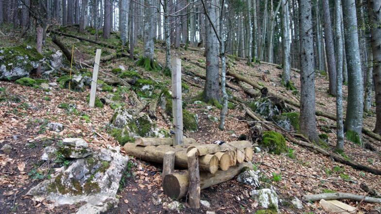 Zaunüberstieg nach der Alm ~900 m