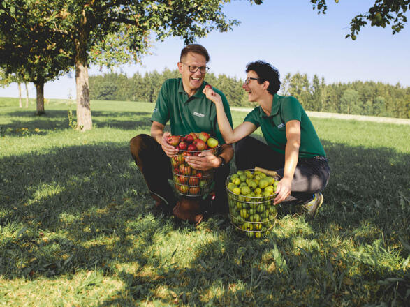 Reiche Ernte von der Streuobstwiese Eva und Norbert Eder