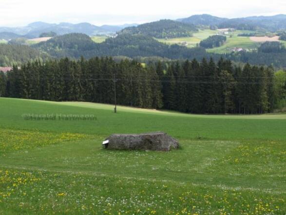 Pechoelstein_Gutau_17