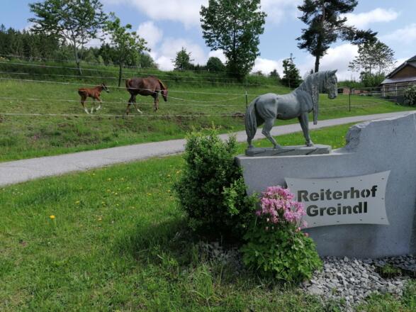 Reiterhof Greindl