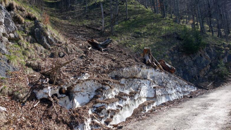 Einstieg ~1060m zum Jagdsteig links im steilen Rinnenbereich
