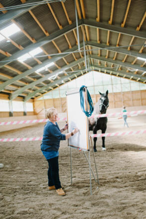 Die Coachin - Conny Wernitznig