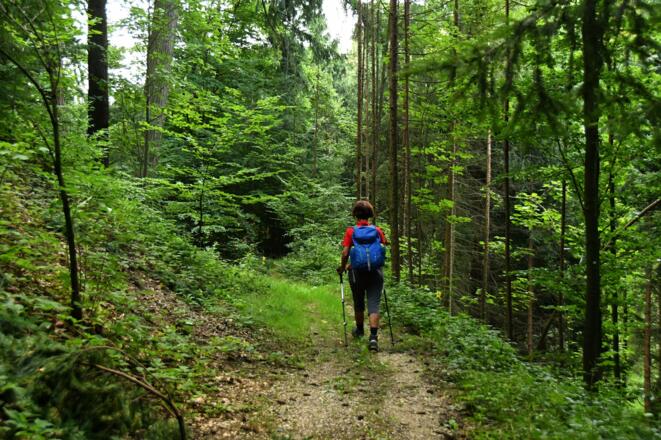 Der Enzmilner Kulturwanderweg