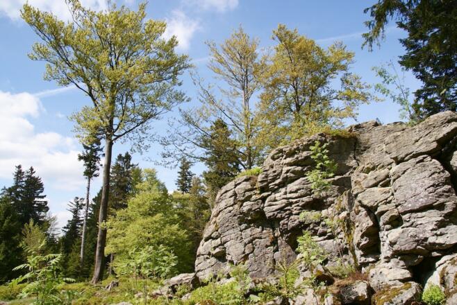 Hochberg-Gipfelfelsen