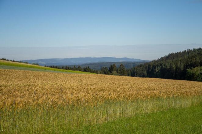 Biberhof0705online-9549