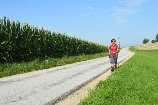 Unterwegs am Güterweg Obernstraß