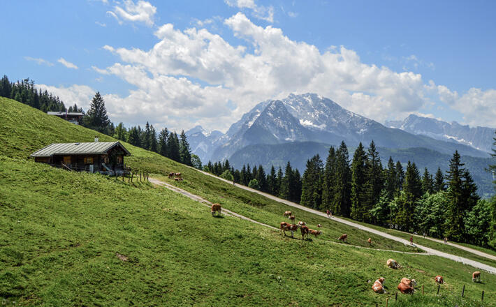 Blick über die Jenner-Alm und das Beckhaus zum Watzmann