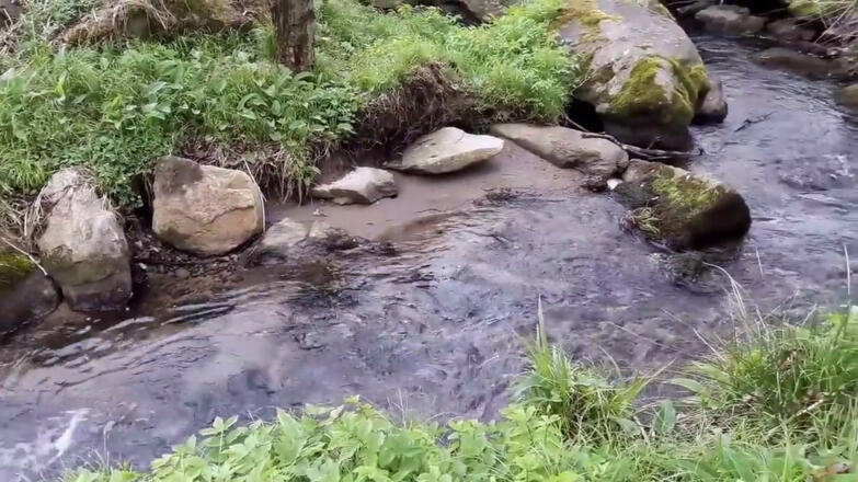 Englmarbach mit Granitbrücke