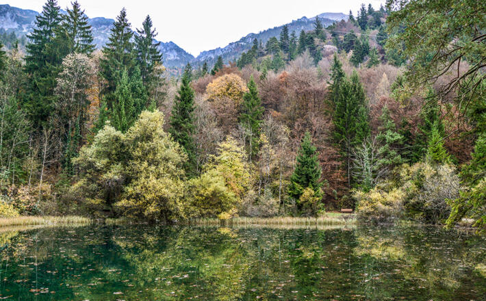 Herbst am Listsee Bad Reichenhall