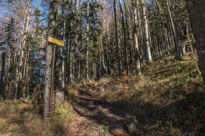 Weg von der Kastensteinerwand zum Rauhen Kopf