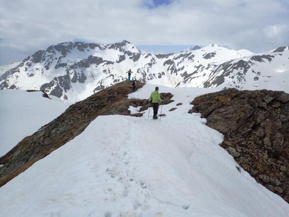 Am Gr. Margötzenkopf