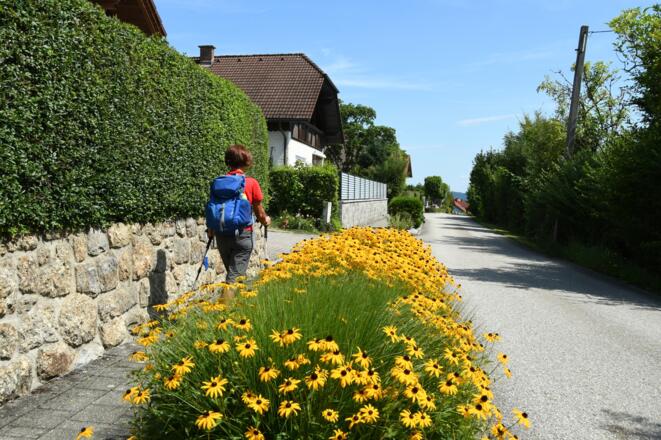 Bad Kreuzen - in der Kuhweidsiedlung