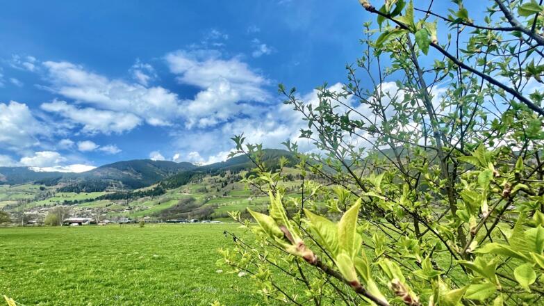 Schöner Ausblick auf Piesendorf