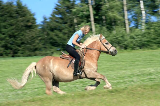 Reiterherberge Onkel Peda
