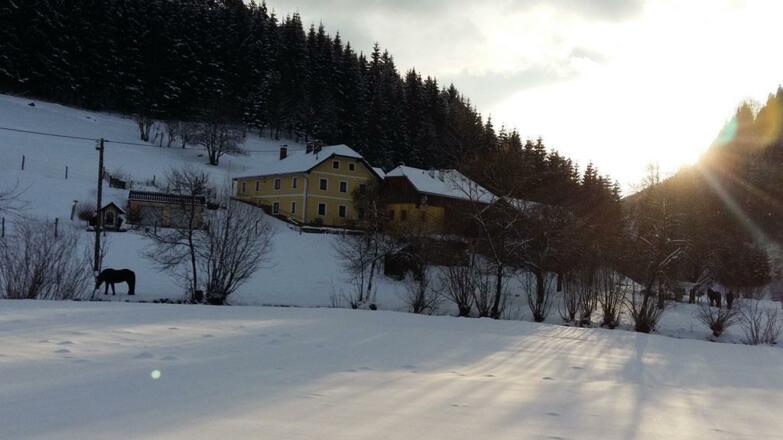 Scherhäufl Ranch Kutenschfahrt