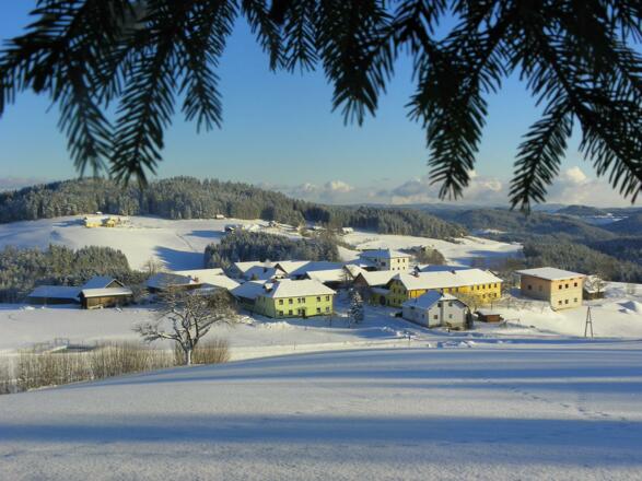 Winter in Silberberg