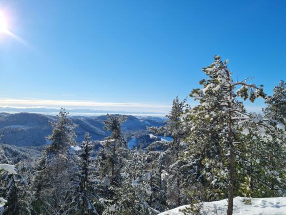 Weitblick Winter