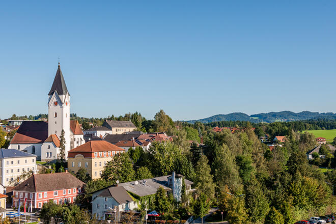 wernerharrer_17__NR_001_GROSS_