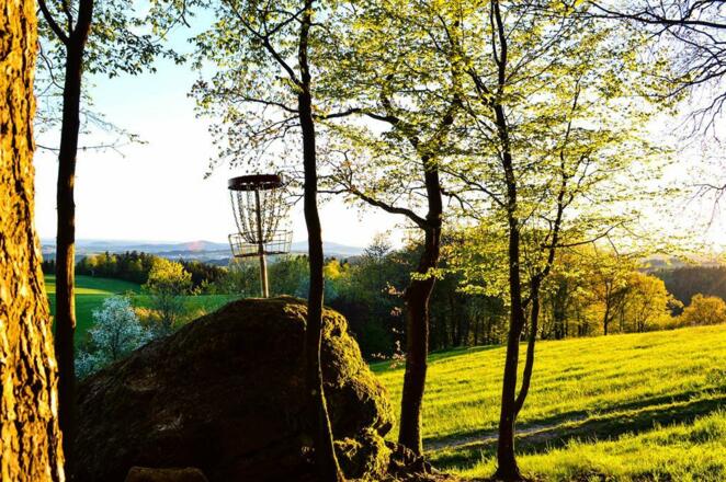 Discgolfkorb