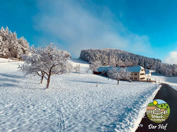Hofansicht Winter