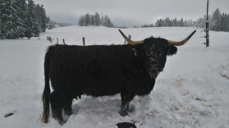 0cc9fb57-2cf4-450a-be25-21a44b3fd67f