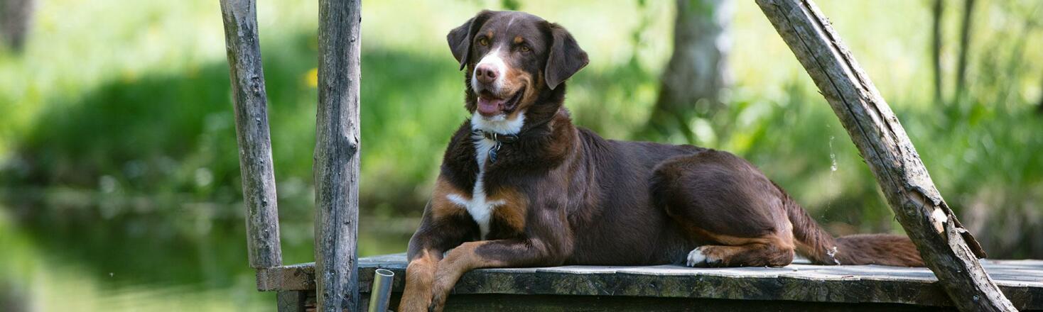Relaxen auf der Terrasse