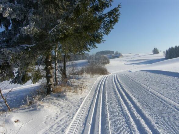 Langlauf Winter 012