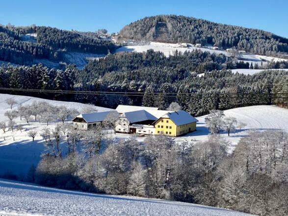 Mühlviertler Dreiseithof  Bauernhof Wenigeder