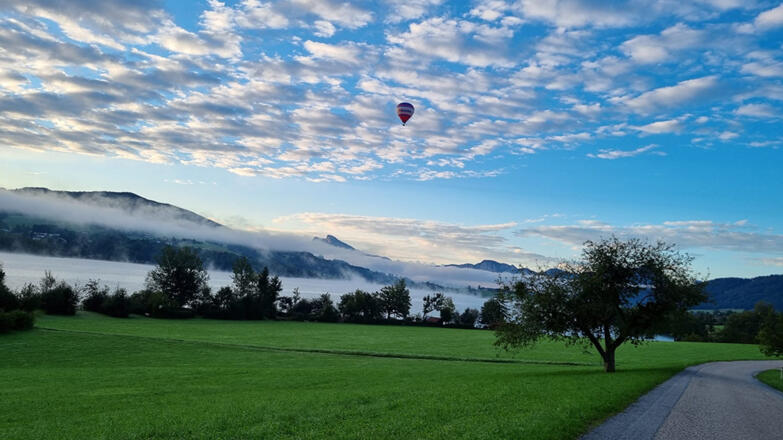 Landschaft