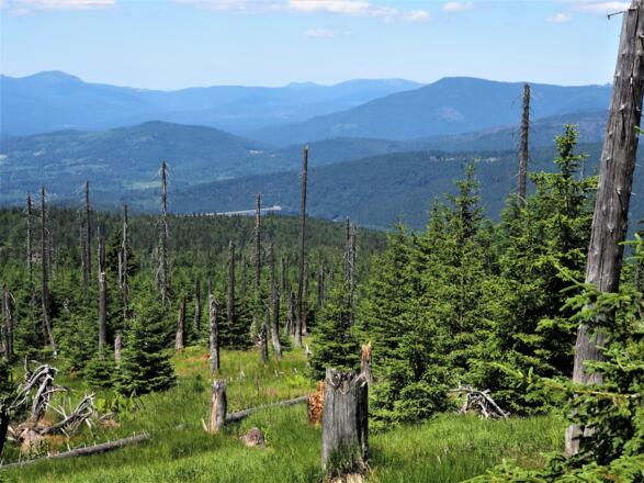 Ausblick vom Rachelsteig