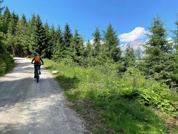 Ein gut fahrbarer und nicht zu steiler Güterweg führt hinauf zur Pfaffenhofer Alm.