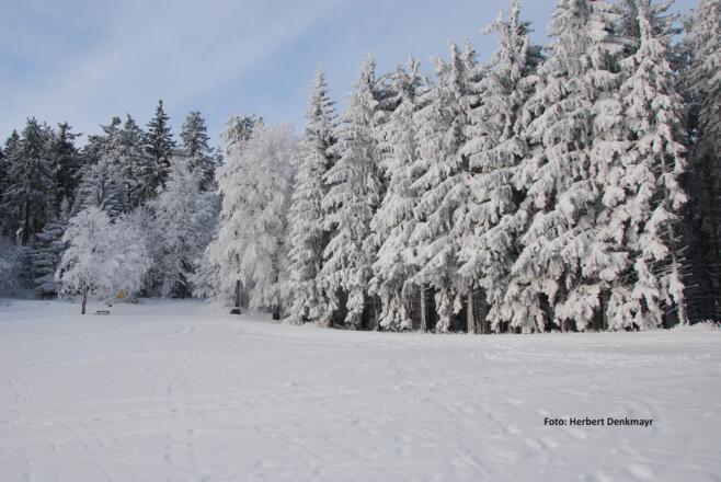 Winter Landschaft Denkmayr